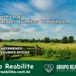 Tratamento para Dependentes Químicos Feminino em Alto Rio Doce – MG