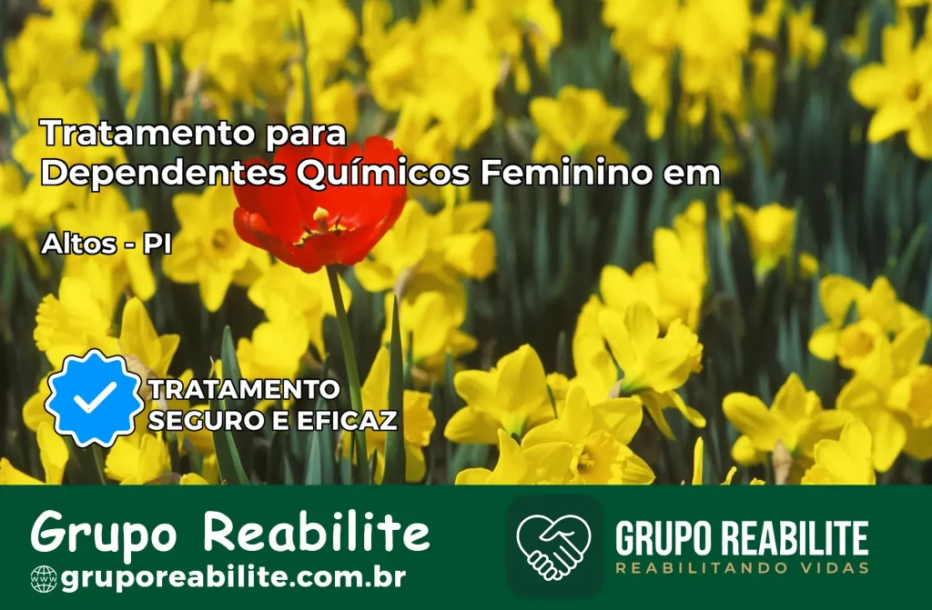 Tratamento para Dependentes Químicos Feminino em Altos – PI