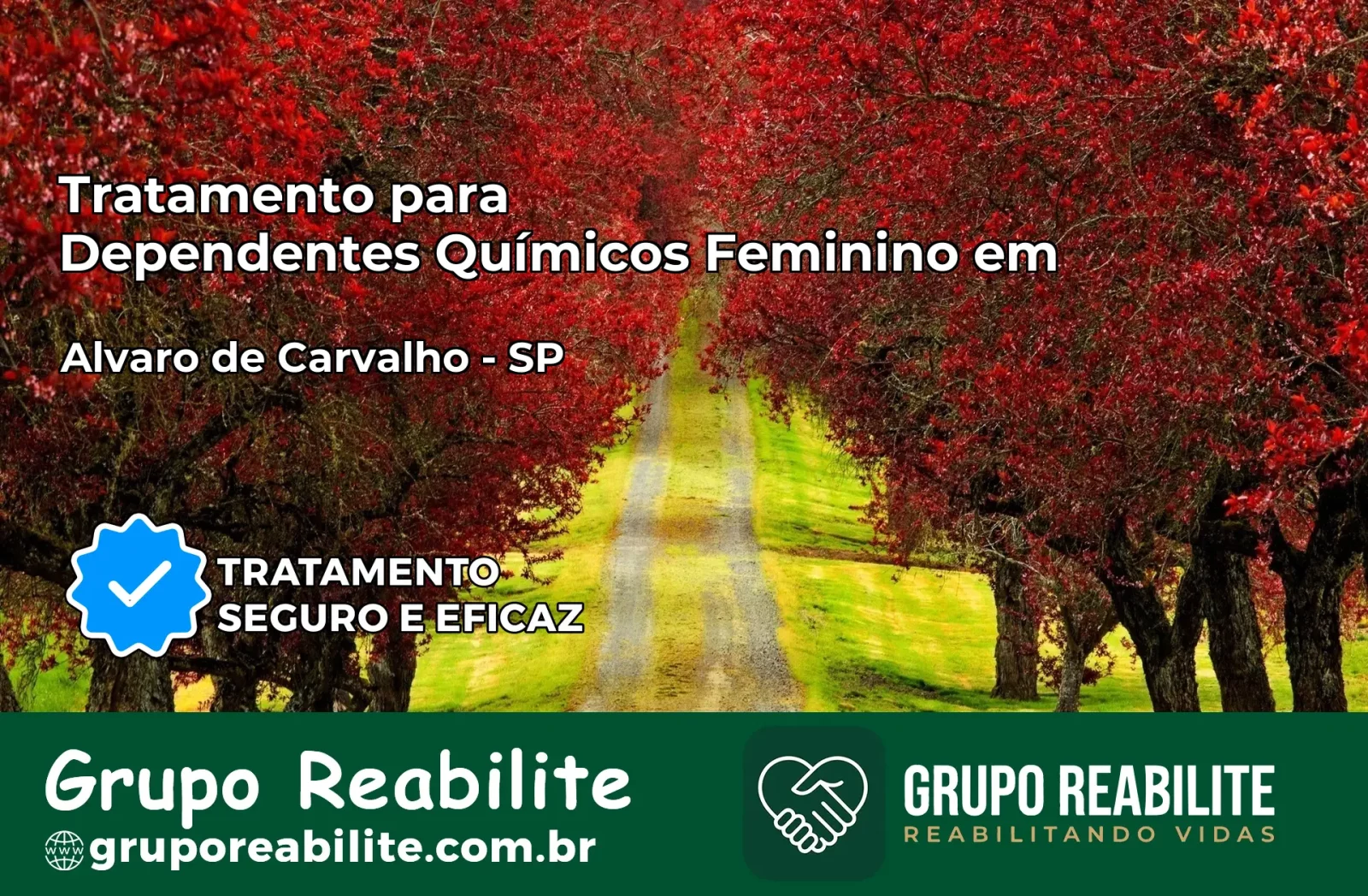 Tratamento para Dependentes Químicos Feminino em Álvaro de Carvalho – SP