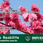Tratamento para Dependentes Químicos Feminino em Anapu – PA
