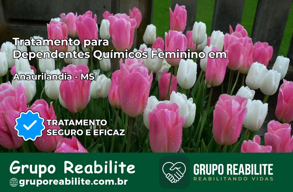 Tratamento para Dependentes Químicos Feminino em Anaurilândia – MS