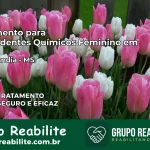 Tratamento para Dependentes Químicos Feminino em Anaurilândia – MS