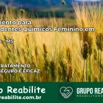 Tratamento para Dependentes Químicos Feminino em Angélica – MS