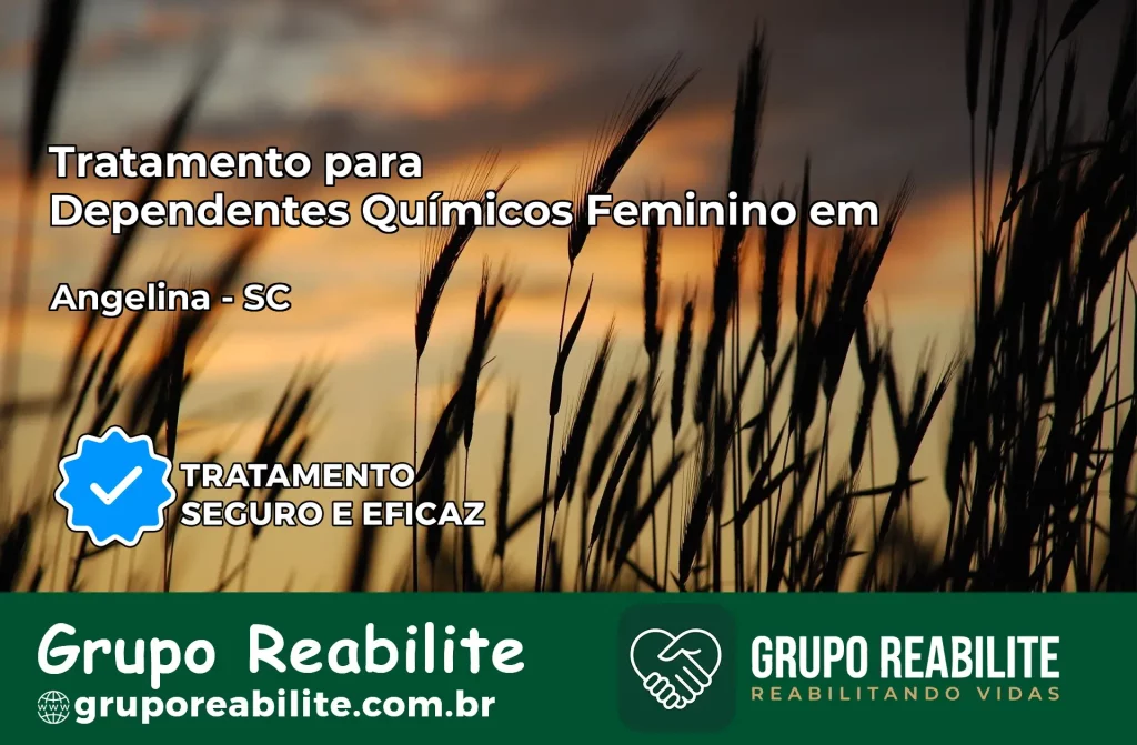 Tratamento para Dependentes Químicos Feminino em Angelina – SC