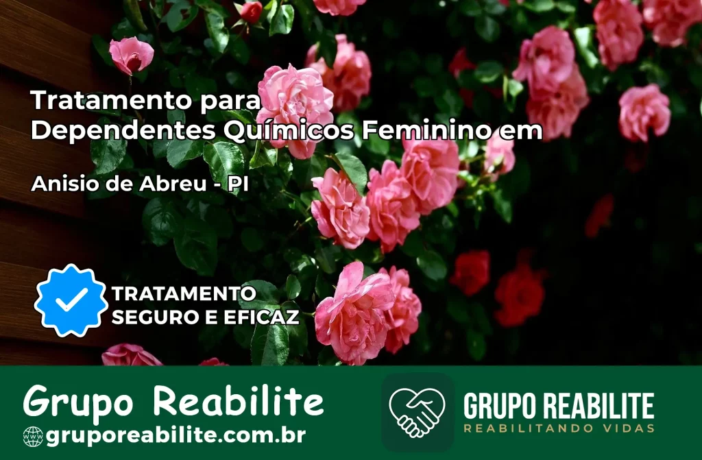 Tratamento para Dependentes Químicos Feminino em Anísio de Abreu – PI