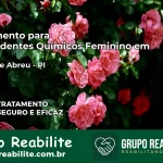 Tratamento para Dependentes Químicos Feminino em Anísio de Abreu – PI