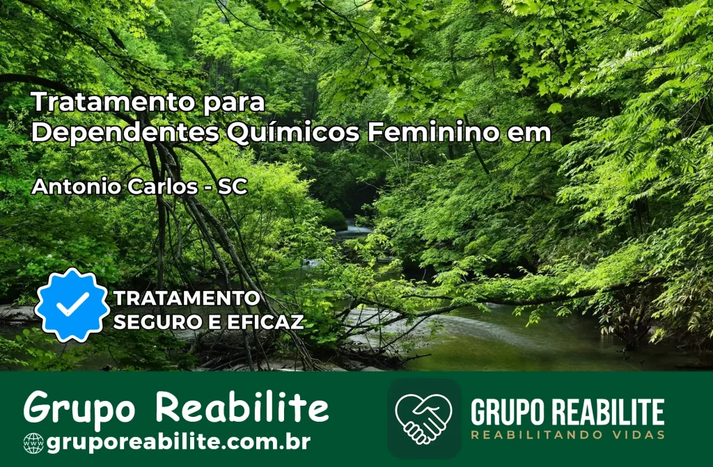 Tratamento para Dependentes Químicos Feminino em Antônio Carlos – SC