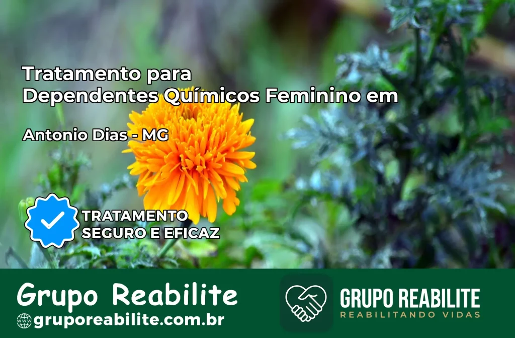 Tratamento para Dependentes Químicos Feminino em Antônio Dias – MG