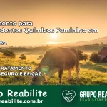 Tratamento para Dependentes Químicos Feminino em Aporá – BA