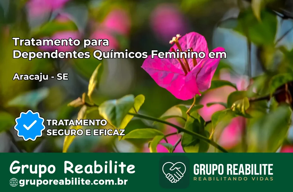 Tratamento para Dependentes Químicos Feminino em Aracaju – SE