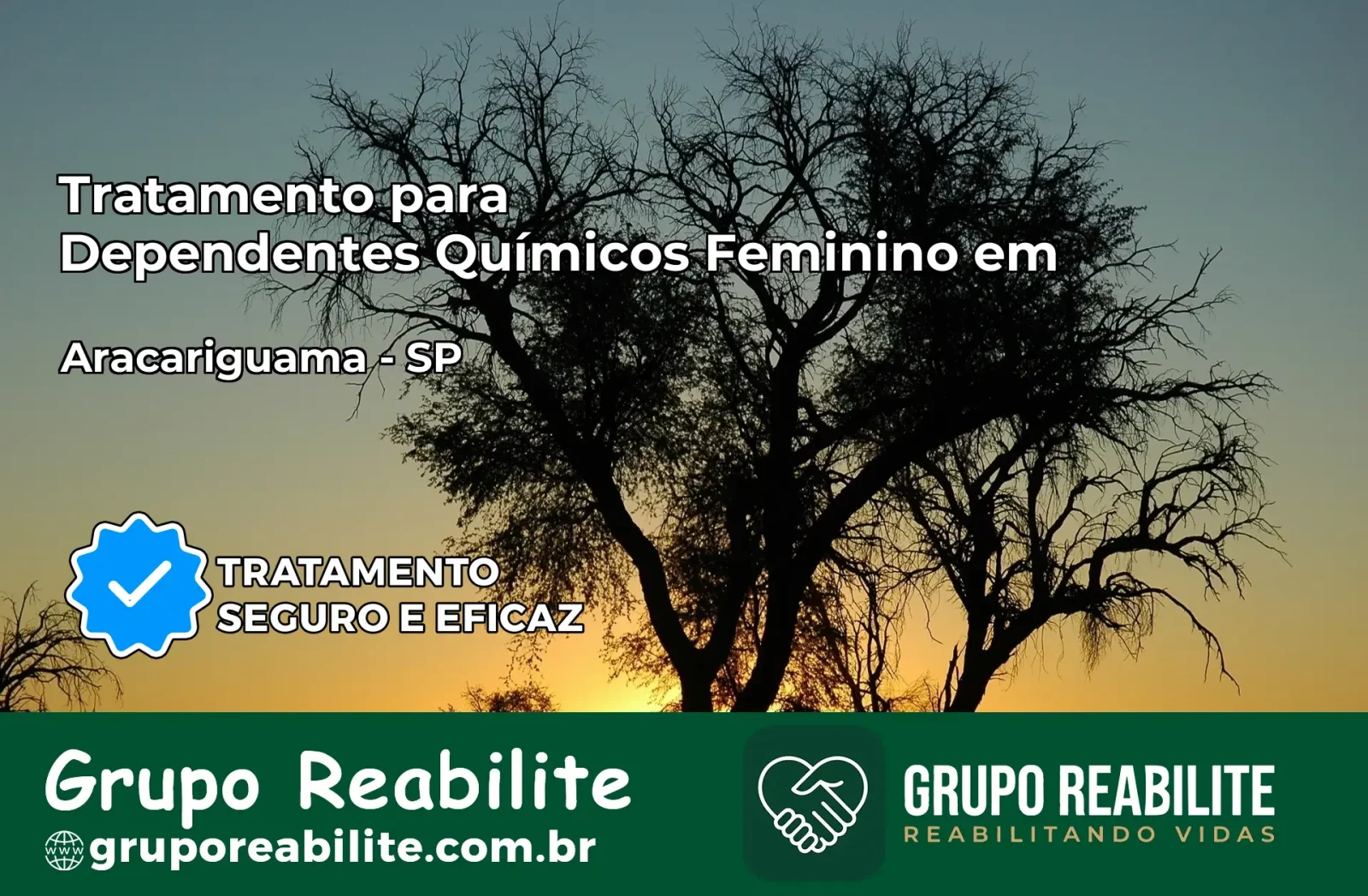 Tratamento para Dependentes Químicos Feminino em Araçariguama – SP