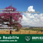 Tratamento para Dependentes Químicos Feminino em Arealva – SP