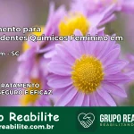 Tratamento para Dependentes Químicos Feminino em Armazém – SC