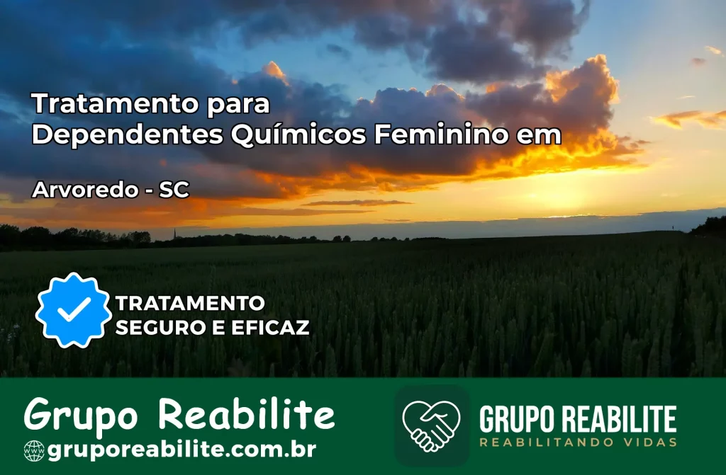 Tratamento para Dependentes Químicos Feminino em Arvoredo – SC