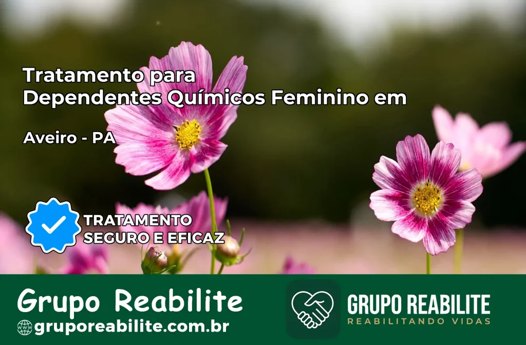 Tratamento para Dependentes Químicos Feminino em Aveiro – PA
