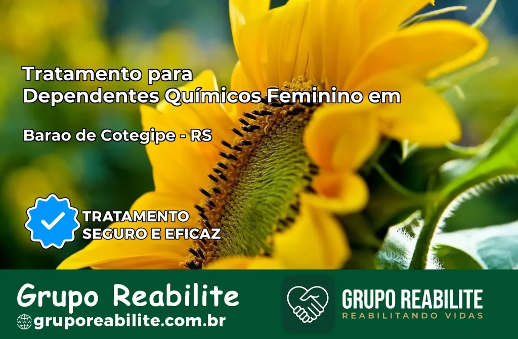 Tratamento para Dependentes Químicos Feminino em Barão de Cotegipe – RS