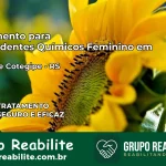 Tratamento para Dependentes Químicos Feminino em Barão de Cotegipe – RS