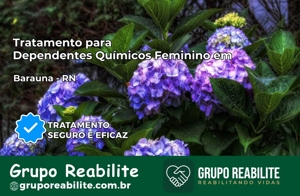 Tratamento para Dependentes Químicos Feminino em Baraúna – RN