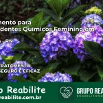 Tratamento para Dependentes Químicos Feminino em Baraúna – RN