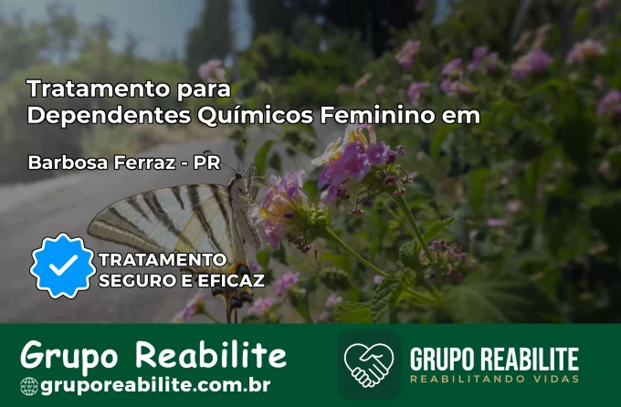 Tratamento para Dependentes Químicos Feminino em Barbosa Ferraz – PR