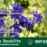 Tratamento para Dependentes Químicos Feminino em Barra Bonita – SP