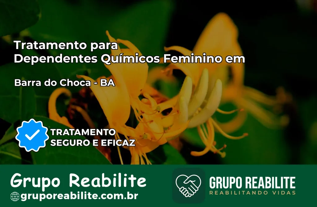 Tratamento para Dependentes Químicos Feminino em Barra do Choça – BA