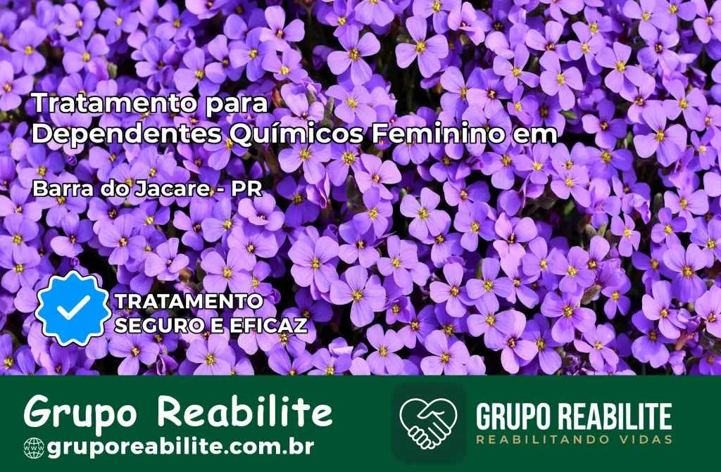 Tratamento para Dependentes Químicos Feminino em Barra do Jacaré – PR