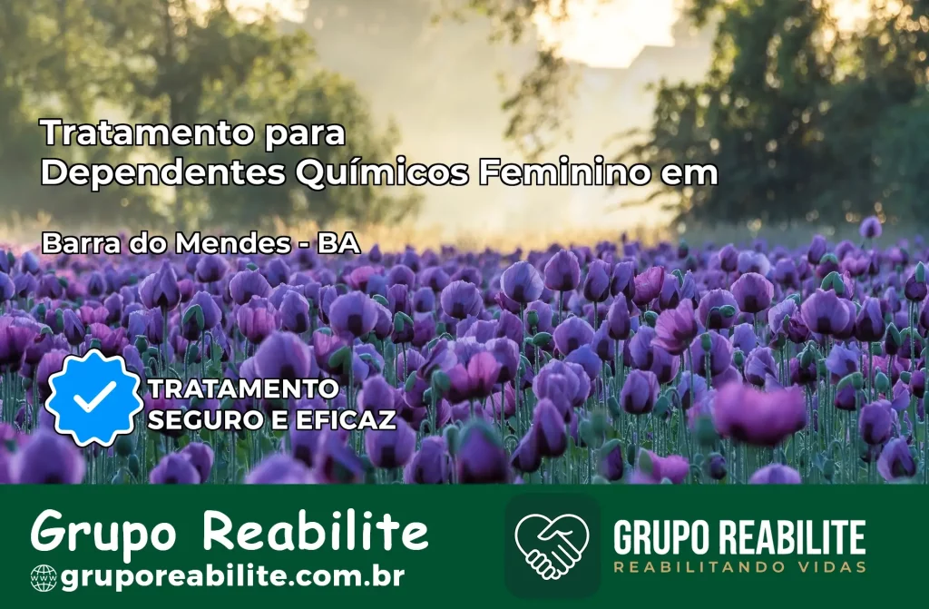 Tratamento para Dependentes Químicos Feminino em Barra do Mendes – BA