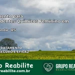 Tratamento para Dependentes Químicos Feminino em Barra Funda – RS