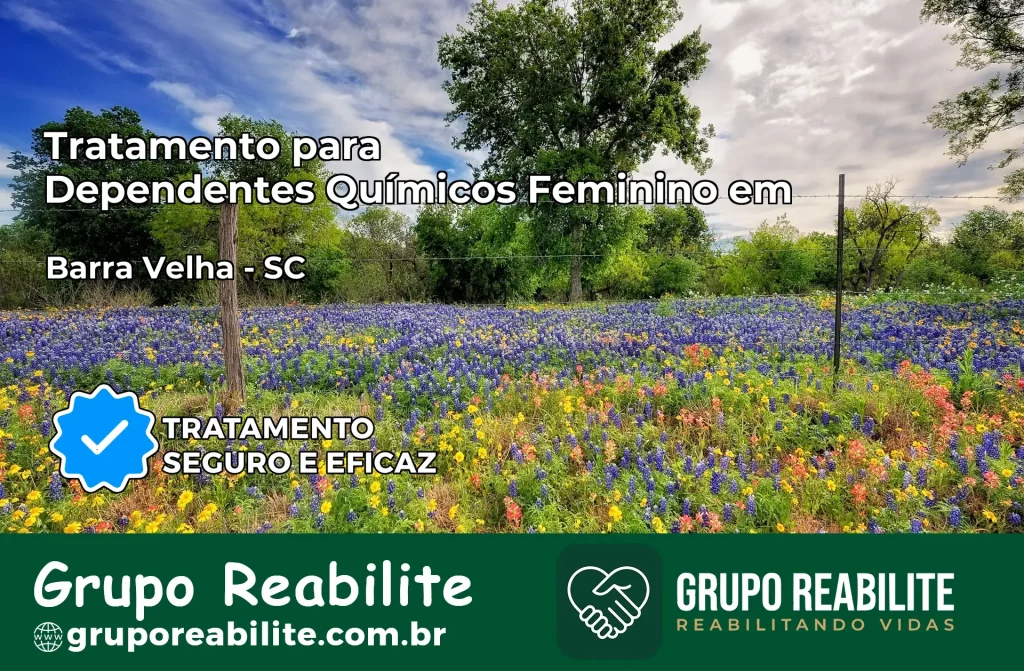 Tratamento para Dependentes Químicos Feminino em Barra Velha – SC