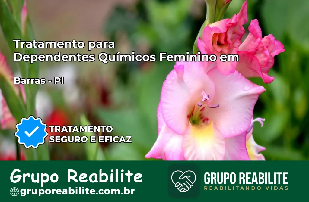 Tratamento para Dependentes Químicos Feminino em Barras – PI