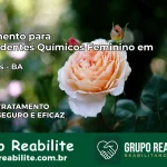 Tratamento para Dependentes Químicos Feminino em Barreiras – BA
