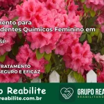Tratamento para Dependentes Químicos Feminino em Bauru – SP