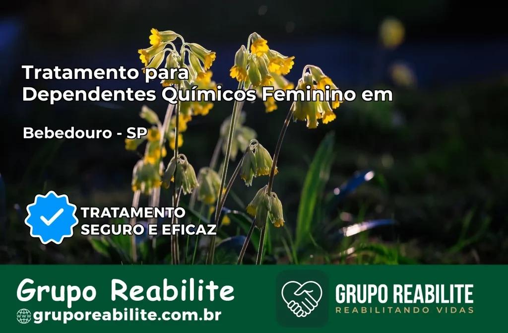 Tratamento para Dependentes Químicos Feminino em Bebedouro – SP