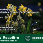Tratamento para Dependentes Químicos Feminino em Bebedouro – SP