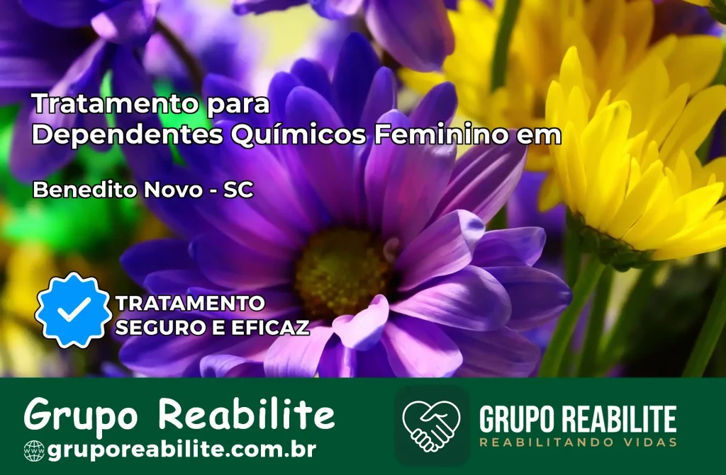 Tratamento para Dependentes Químicos Feminino em Benedito Novo – SC