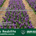 Tratamento para Dependentes Químicos Feminino em Berizal – MG