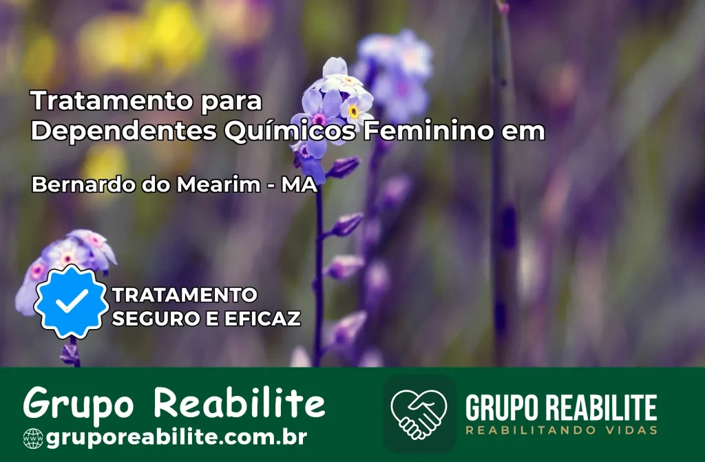 Tratamento para Dependentes Químicos Feminino em Bernardo do Mearim – MA