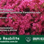 Tratamento para Dependentes Químicos Feminino em Boa Esperança – PR