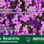 Tratamento para Dependentes Químicos Feminino em Bodó – RN