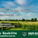 Tratamento para Dependentes Químicos Feminino em Bom Jesus do Araguaia – MT