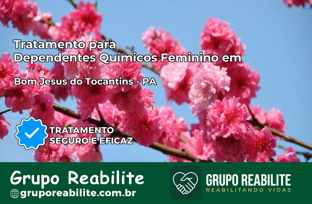 Tratamento para Dependentes Químicos Feminino em Bom Jesus do Tocantins – PA