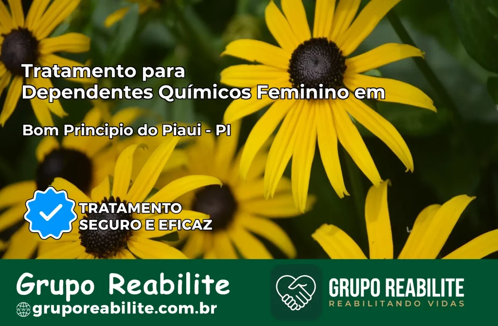Tratamento para Dependentes Químicos Feminino em Bom Princípio do Piauí – PI