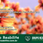 Tratamento para Dependentes Químicos Feminino em Bonito de Minas – MG