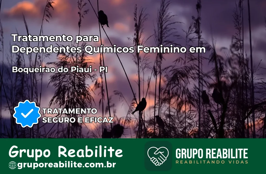 Tratamento para Dependentes Químicos Feminino em Boqueirão do Piauí – PI