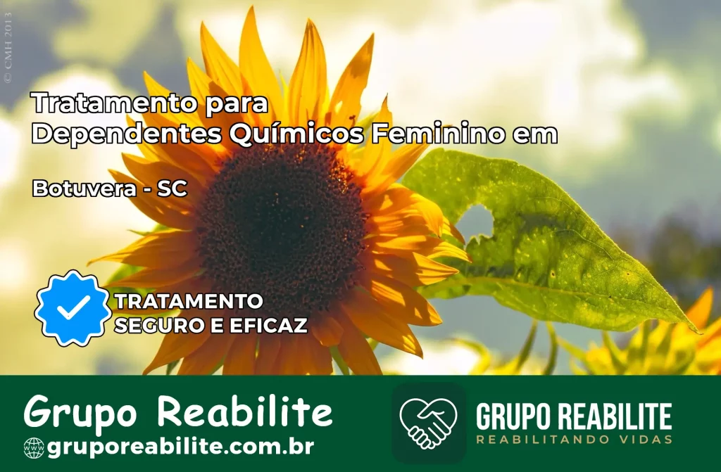 Tratamento para Dependentes Químicos Feminino em Botuverá – SC