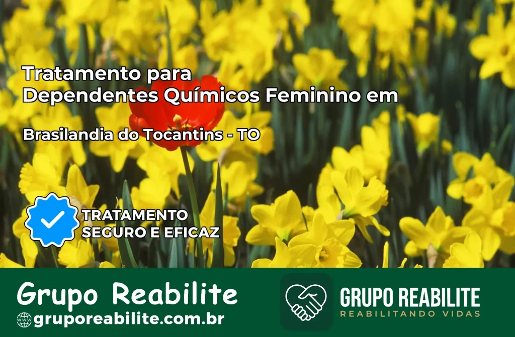Tratamento para Dependentes Químicos Feminino em Brasilândia do Tocantins – TO