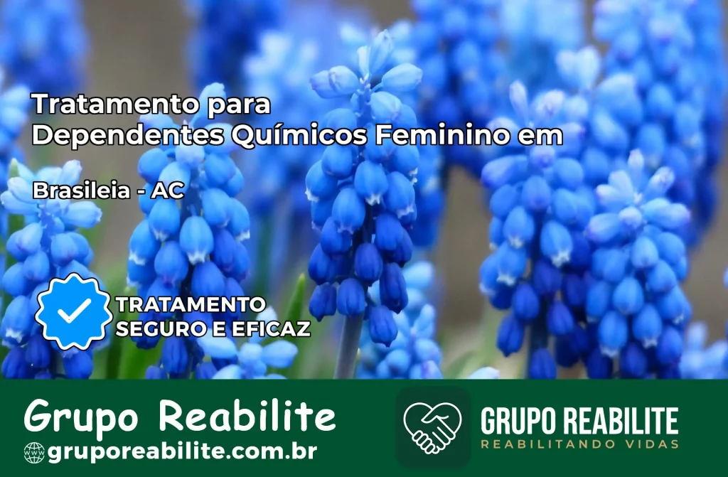 Tratamento para Dependentes Químicos Feminino em Brasiléia – AC