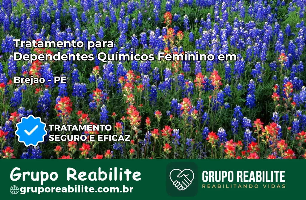 Tratamento para Dependentes Químicos Feminino em Brejão – PE
