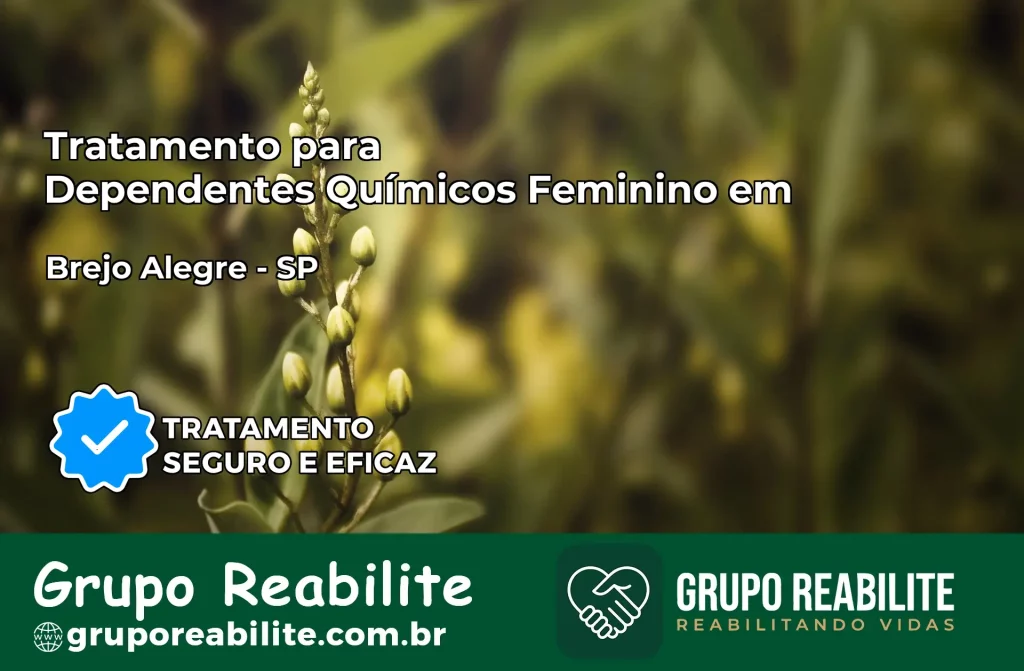 Tratamento para Dependentes Químicos Feminino em Brejo Alegre – SP